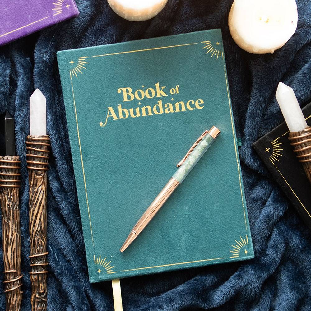 Notebook Of Abundance