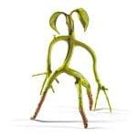 Pickett - immagine 2