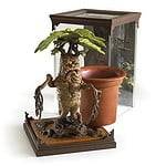 Figure Mandragola