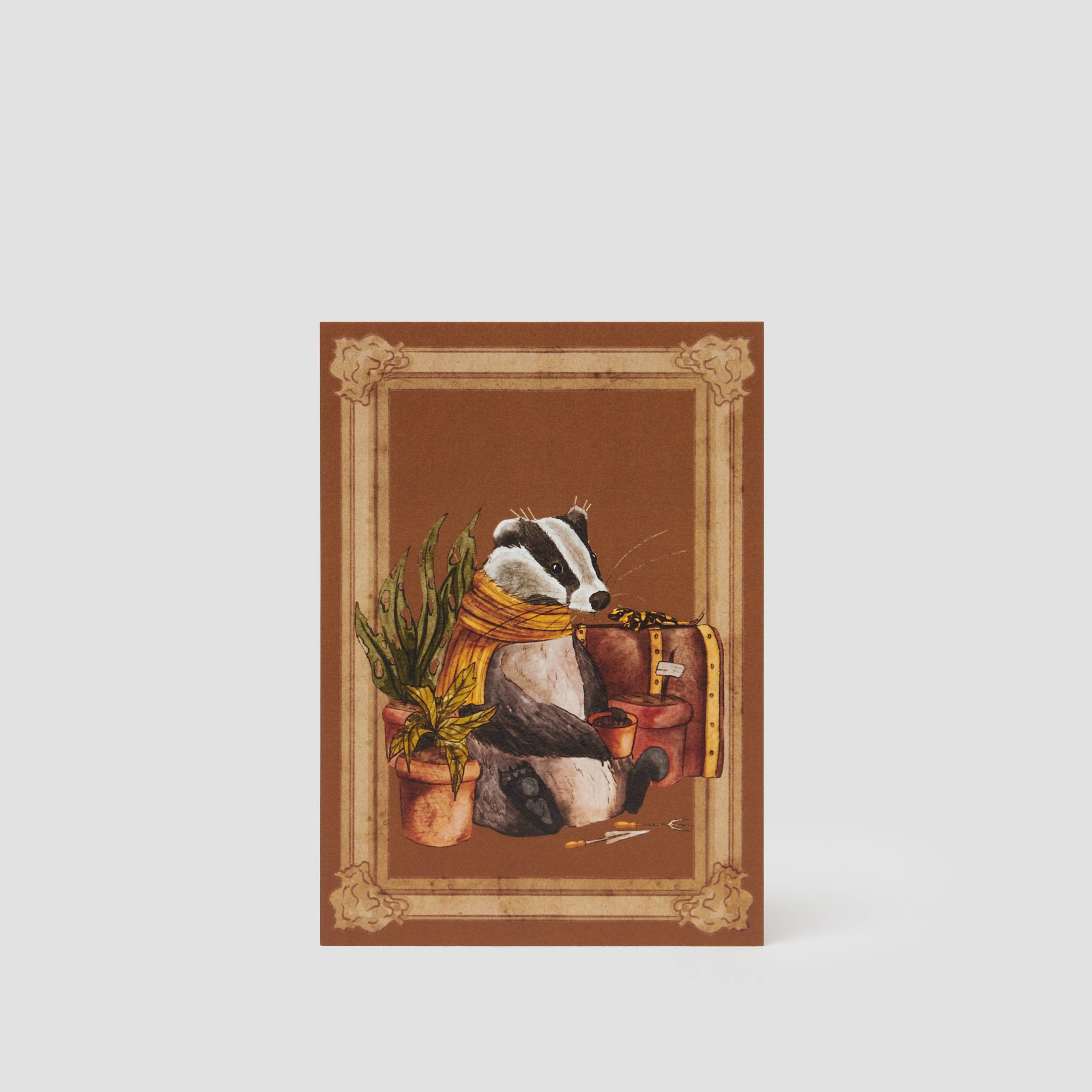 Card Tasso
