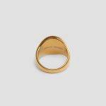 Anello Smistamento - immagine 2