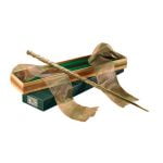 Bacchetta Hermione Ollivander