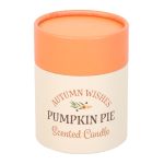 Candela Pumpkin Pie - immagine 4