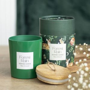 Candela Forest Rain